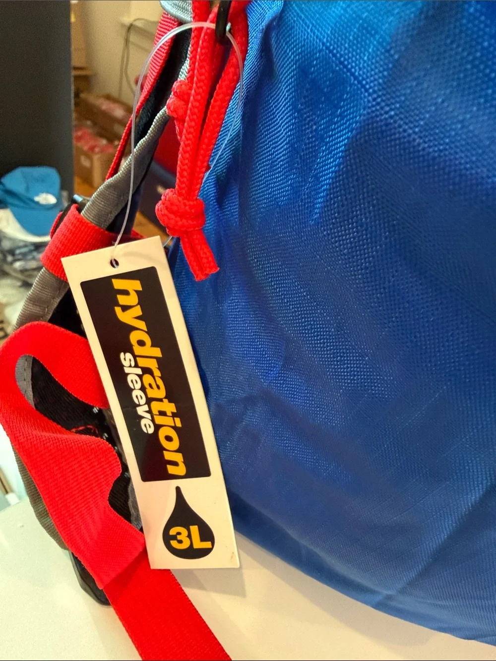 JanSport Sinder 20 Backpack - Blue Streak